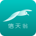 海信信天翁