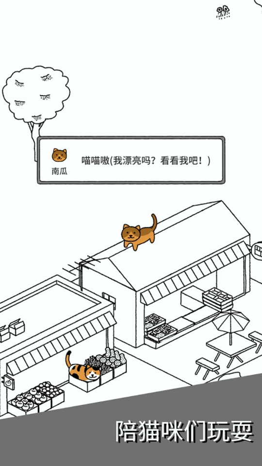 猫咪真的超可爱