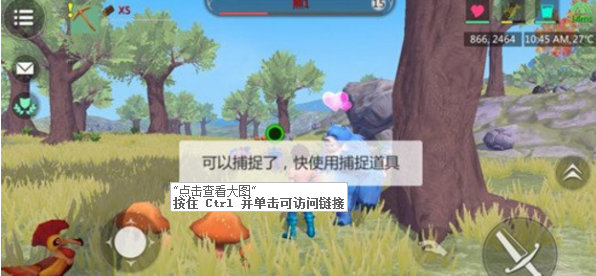 创造与魔法怎么抓熊