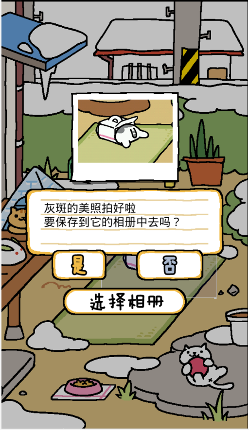 后街猫