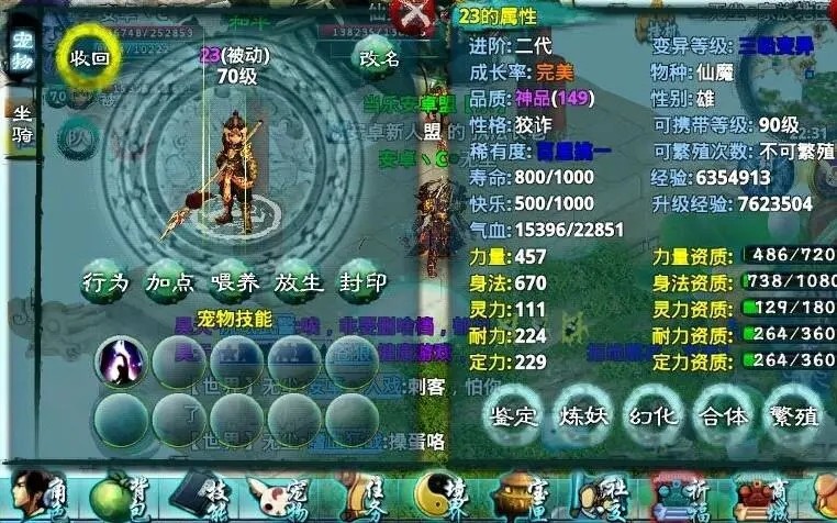 忘仙精明性格的宠物该怎么加点