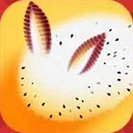 海兔快讯官方版