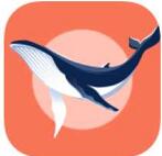 蓝鲸快讯安卓版