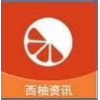 西柚资讯最新版