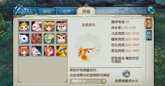 诛仙手游稀有喵呜在哪里​