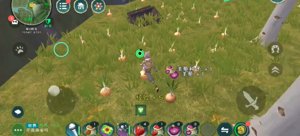 创造与魔法洋葱的位置在哪里