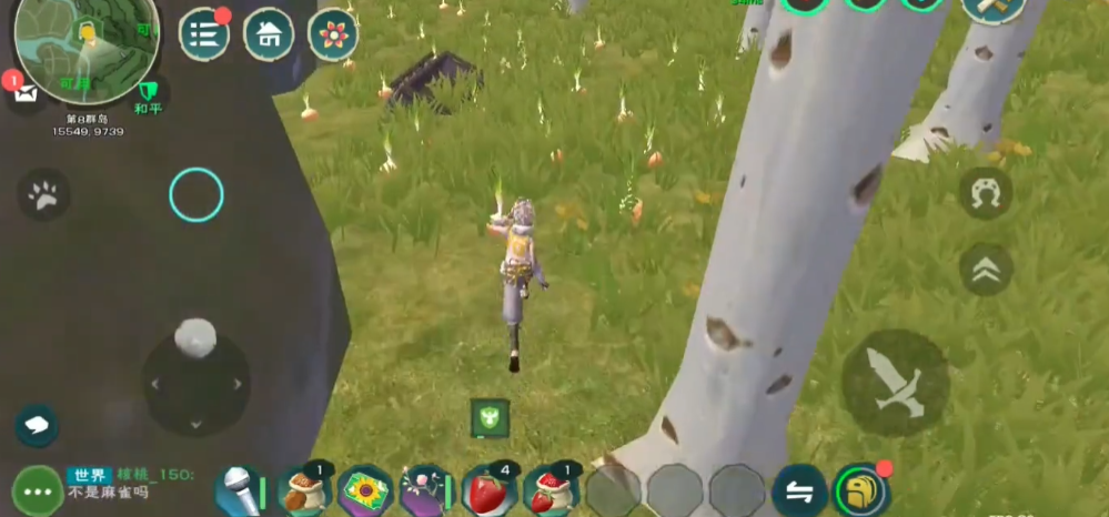 创造与魔法洋葱的位置在哪里