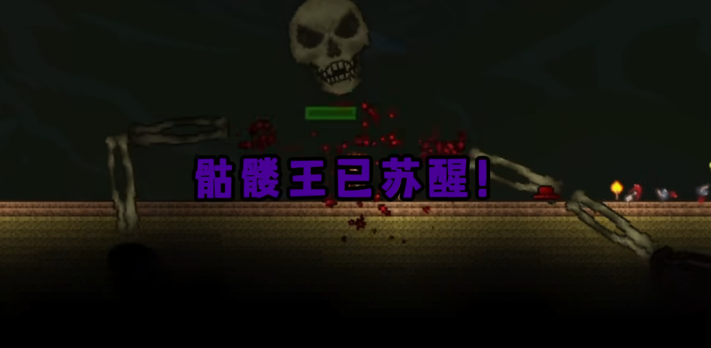 泰拉瑞亚骷髅王用什么打