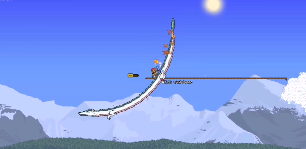 泰拉瑞亚小白龙怎么驯服