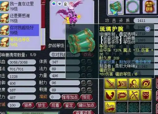梦幻西游为什么要带雷鸟人