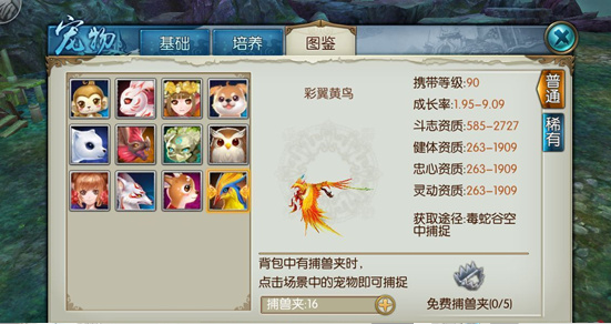 诛仙手游中鸟打什么技能